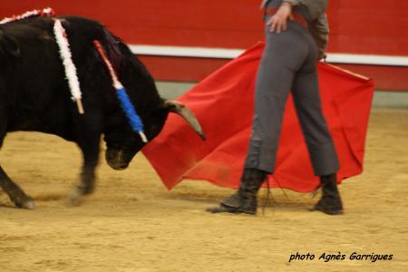 Alberto Aguilar et Toro Gallon n°87