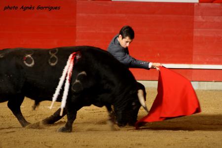 Julien Lescaret et Toro Gallon n°88