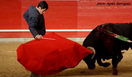 Julien Lescaret et Toro Gallon n°88